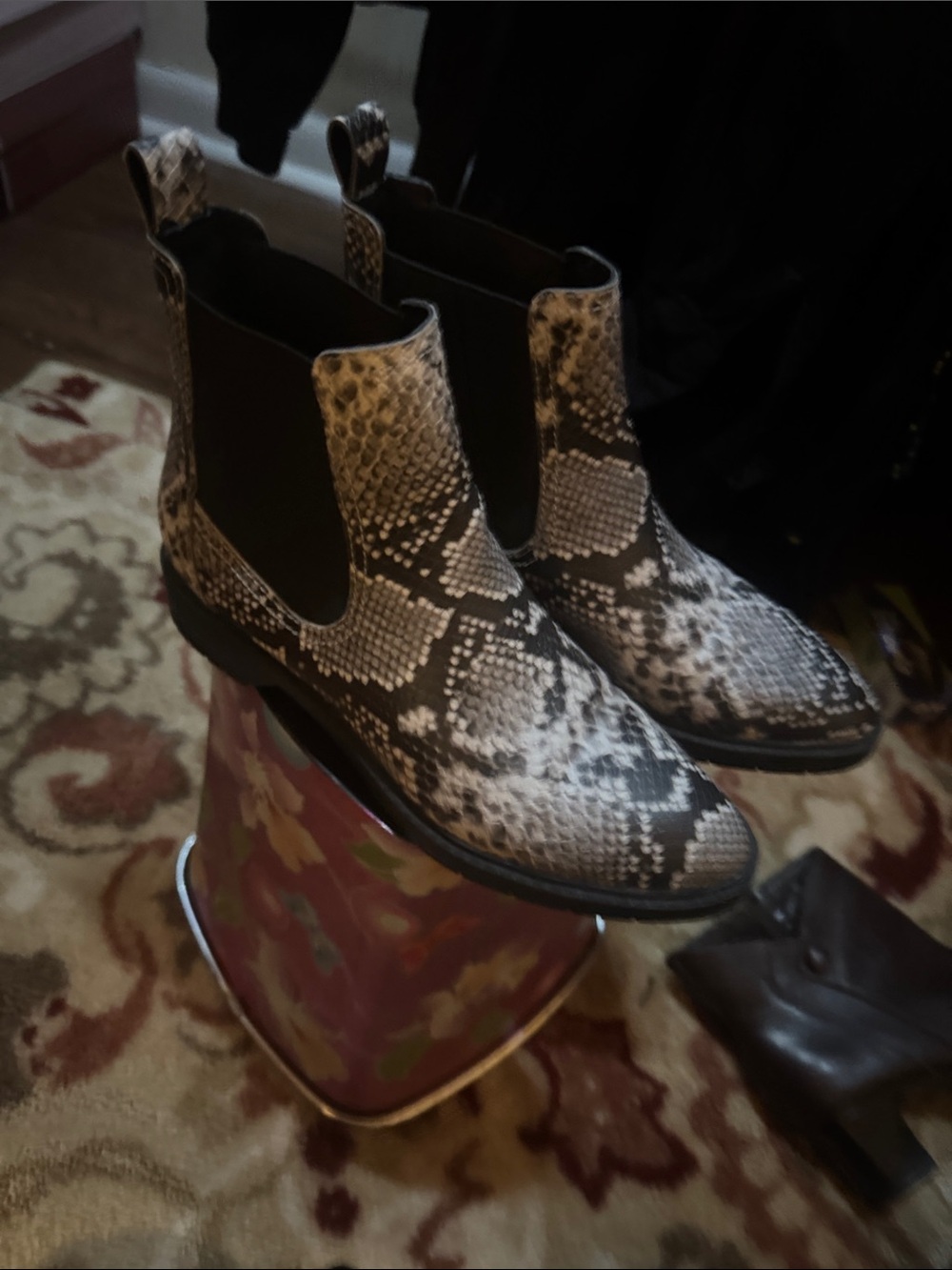 Treasure & Bond Snake Print Chelsea Booties in Black and Cream